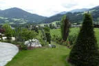 Bepflanzung Bild 36