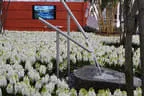 Gartengestaltung Bild 18