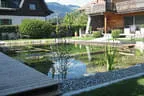 Eder`s NATURNAH (Teichtyp II) Bild 11
