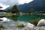Schwimmteich natur pur