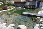 Naturpool am Haus