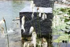 Wasserlauf über Granitquader