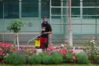 Gartenpflege